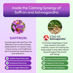Saffron threads and herbal ingredients layout