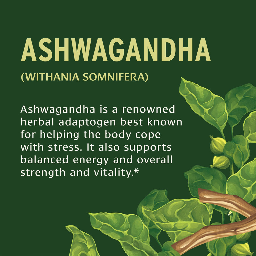 Close-up view of ashwagandha tablets