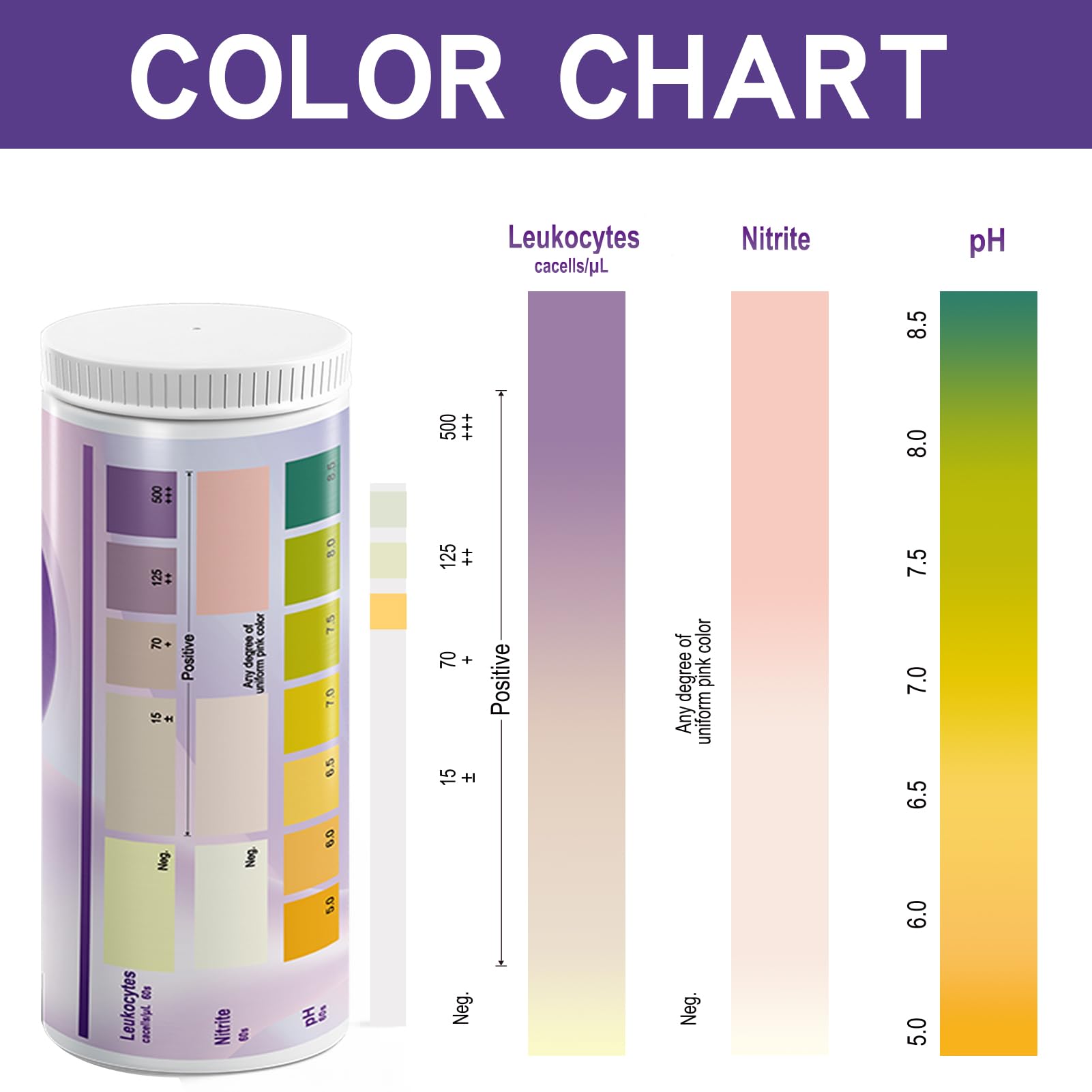 Step-by-step dip and read method for AssuTest strips