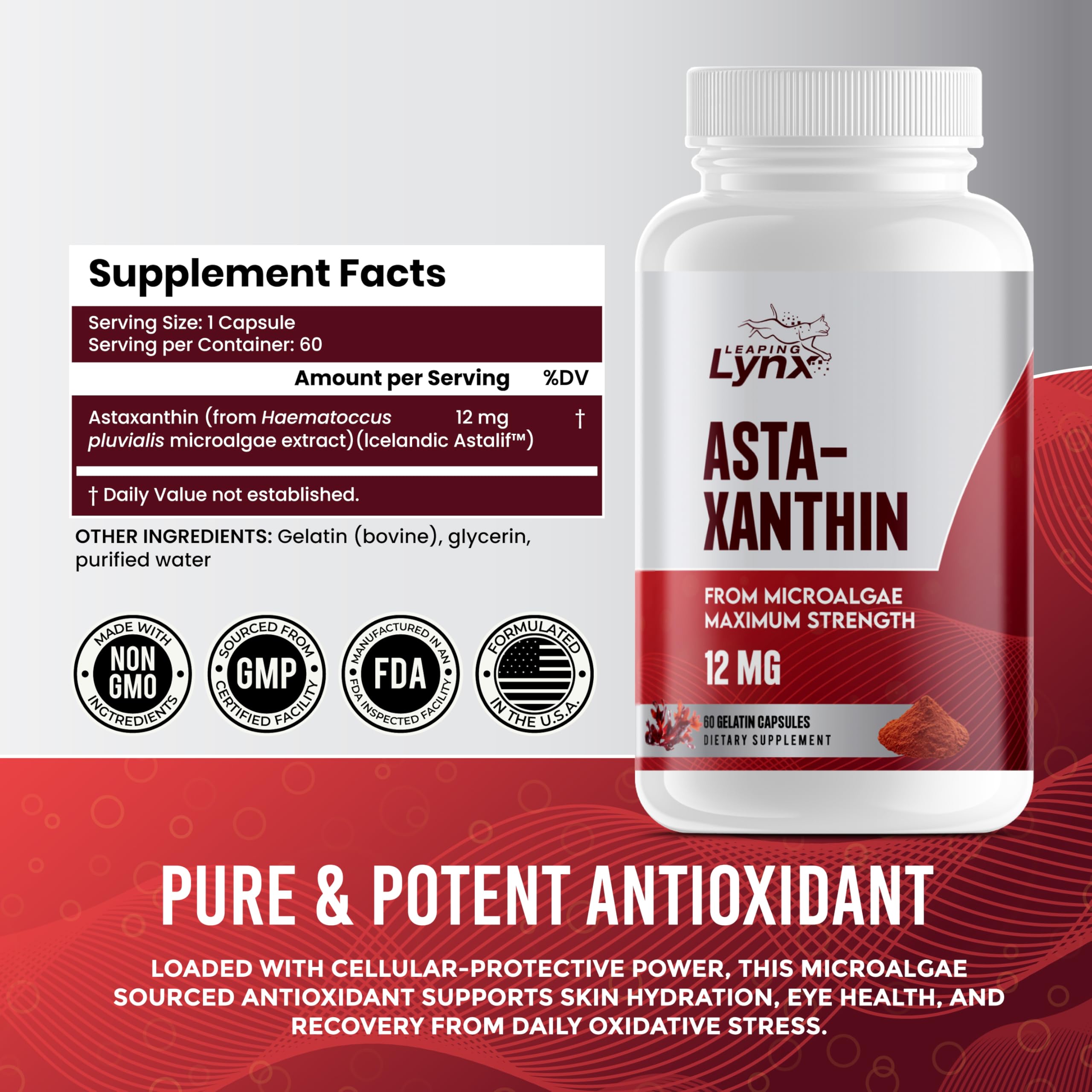 Illustration of eye and brain health with astaxanthin