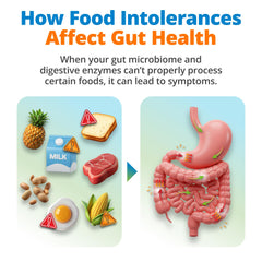 At-home hair sample collection for gut health test