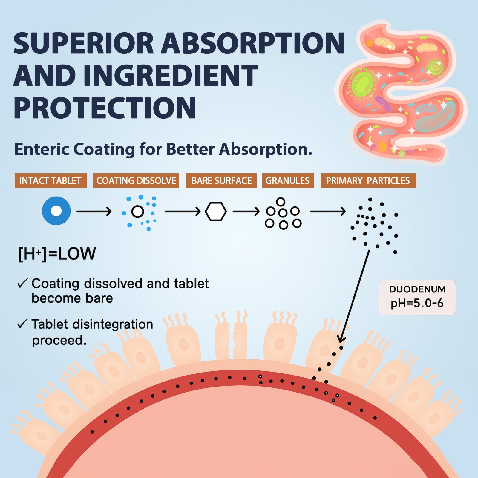 Enteric-coated capsule graphic