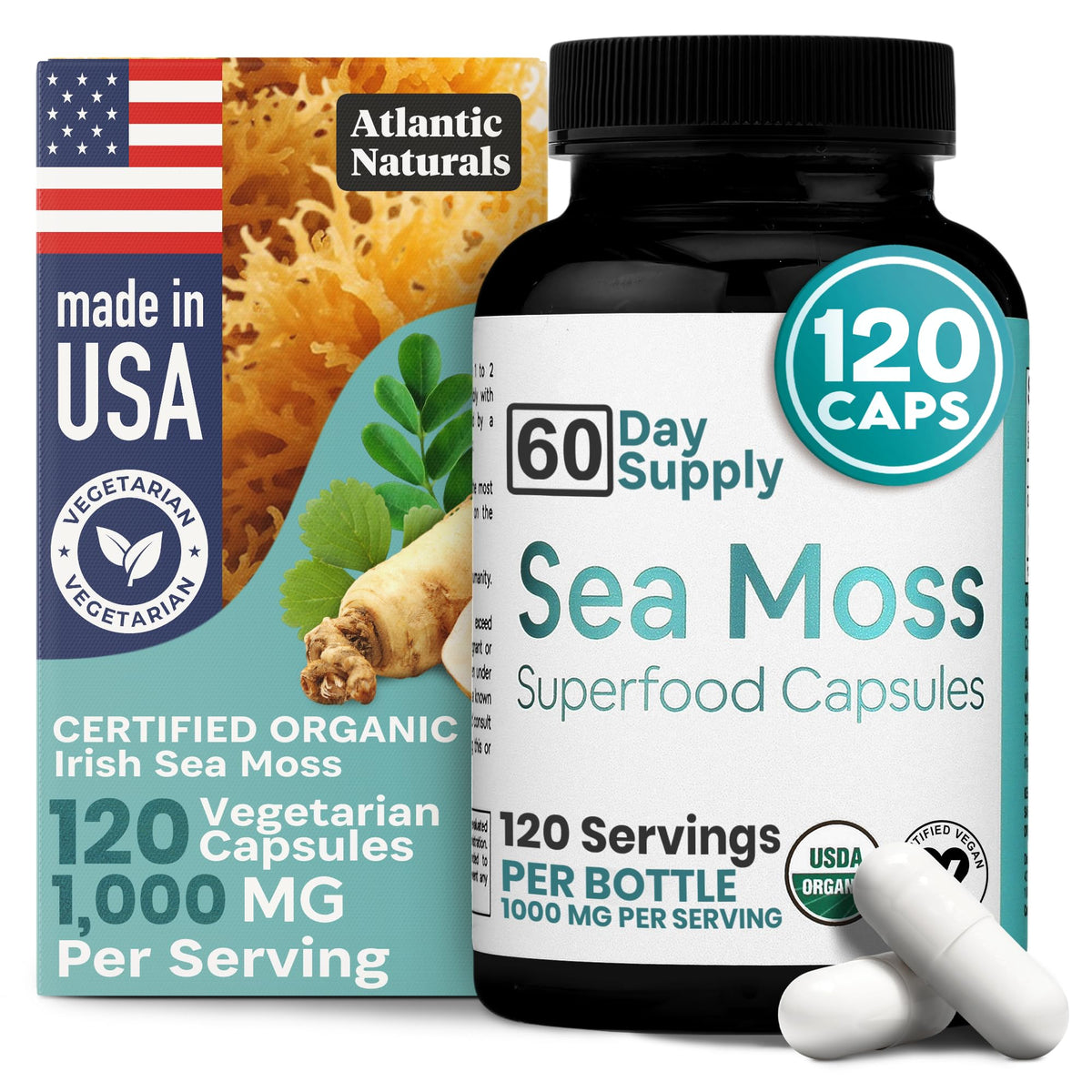 Bottle of Atlantic Naturals Sea Moss Capsules with moringa, ashwagandha, ginger and ginseng