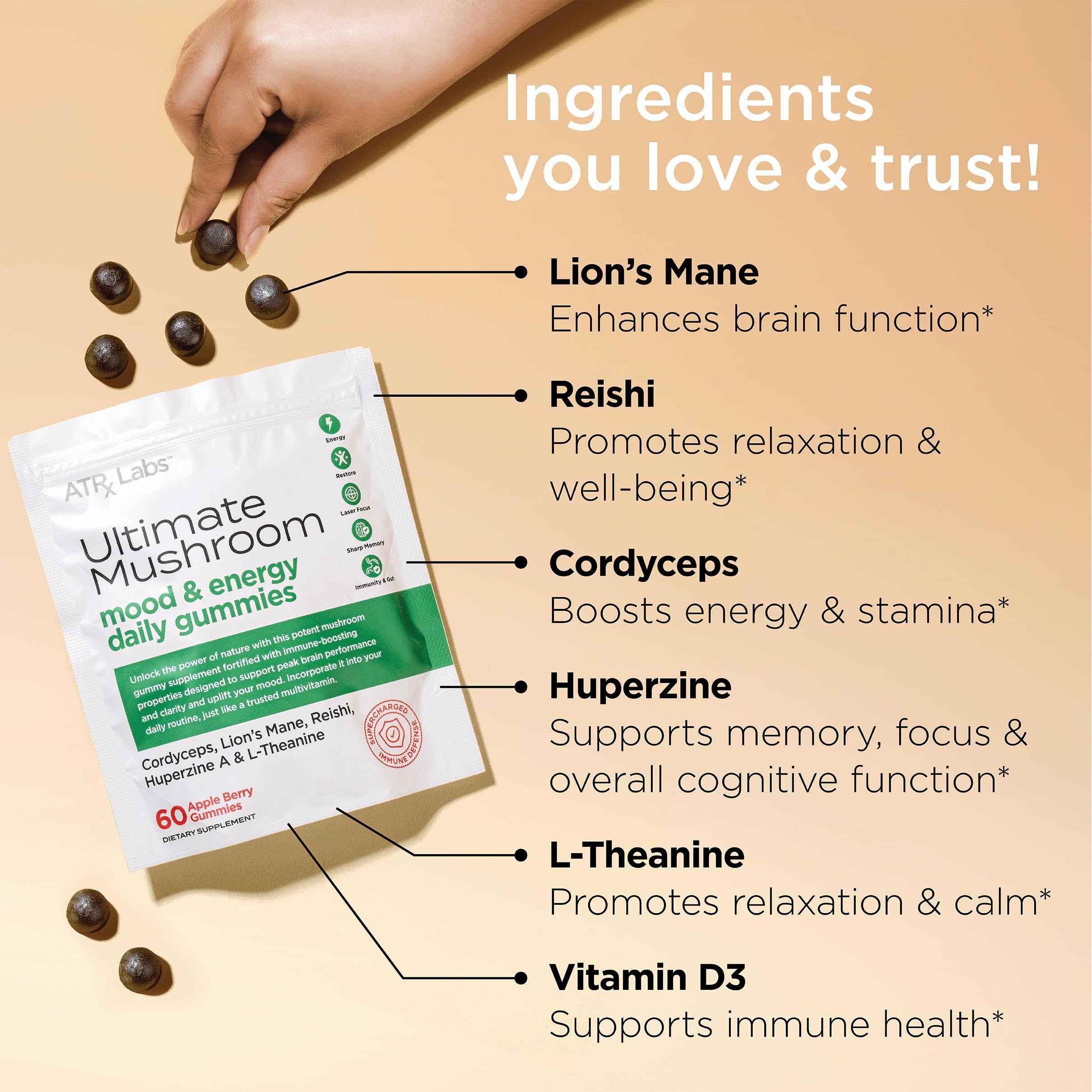 Illustration of cordyceps, lion's mane, and reishi mushroom extracts