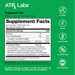 Huperzine A and L-Theanine supporting cognitive function