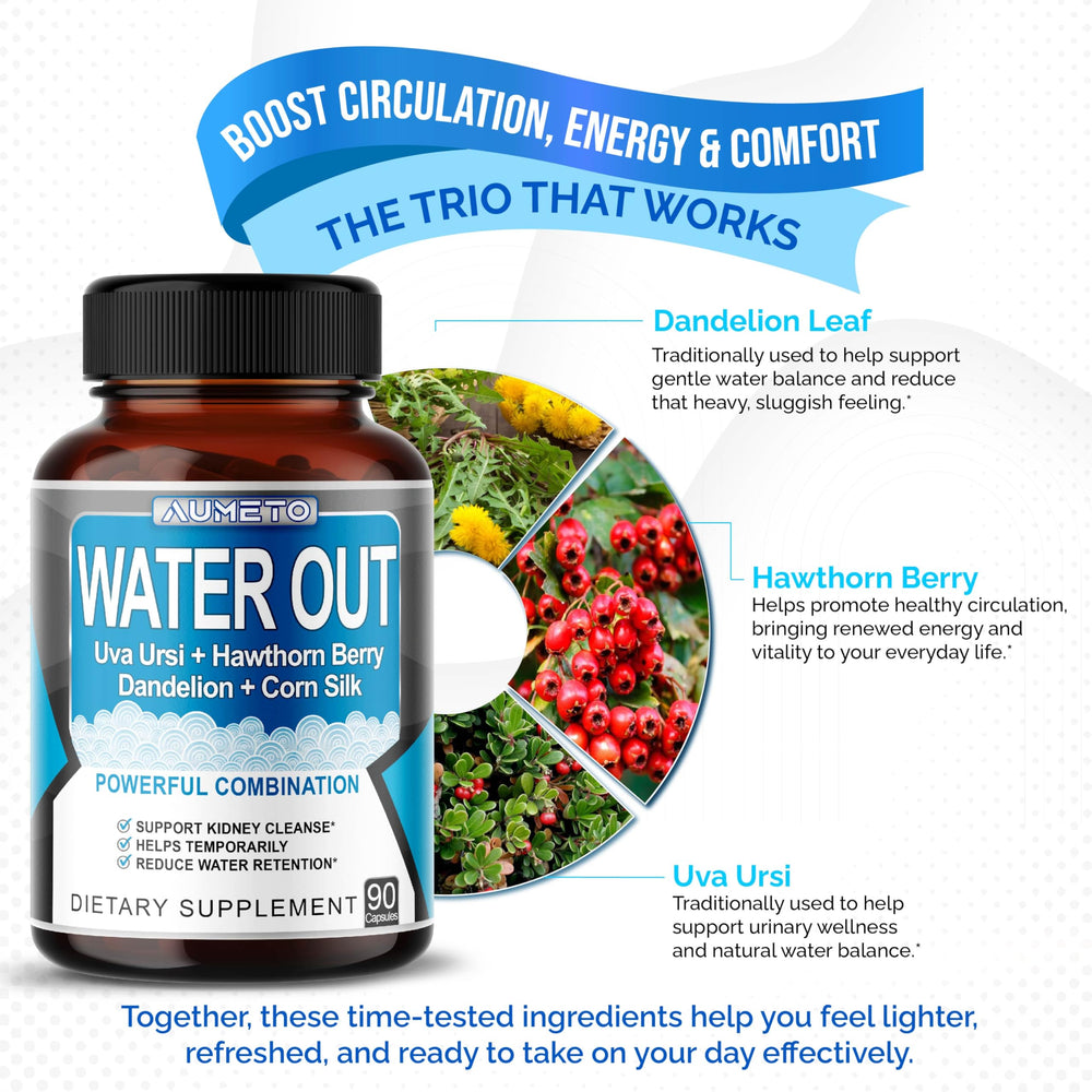 Stomach support and digestive health imagery