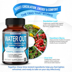 Stomach support and digestive health imagery