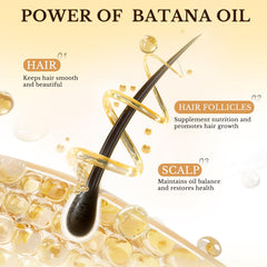 AUOOR Batana Oil Paste care routine concept suggesting daily use benefits for hair
