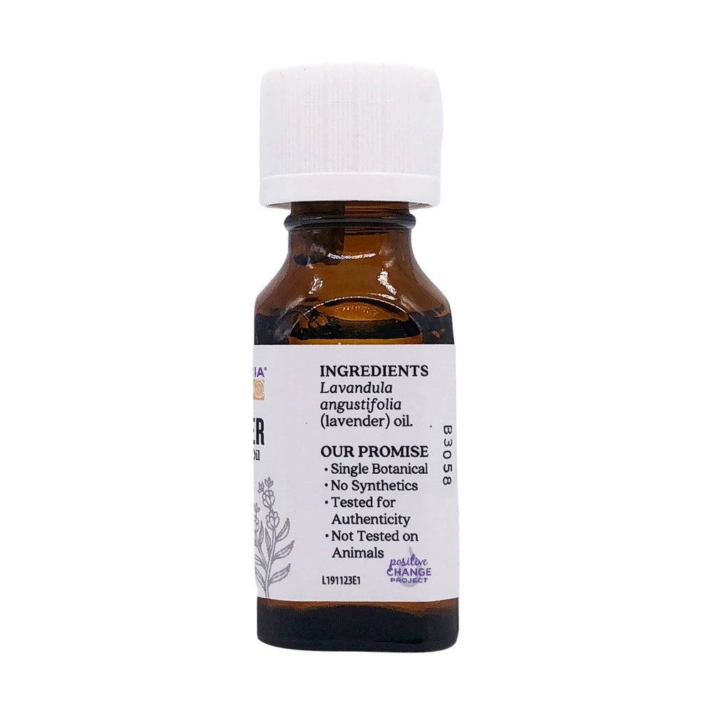 Lavandula angustifolia lavender blossoms with essential oil