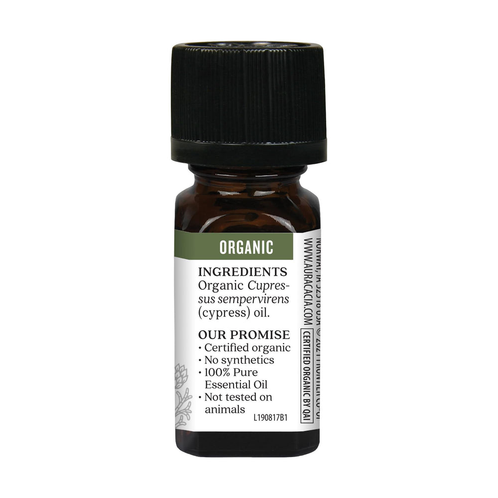 Cypress leaves used for Aura Cacia essential oil
