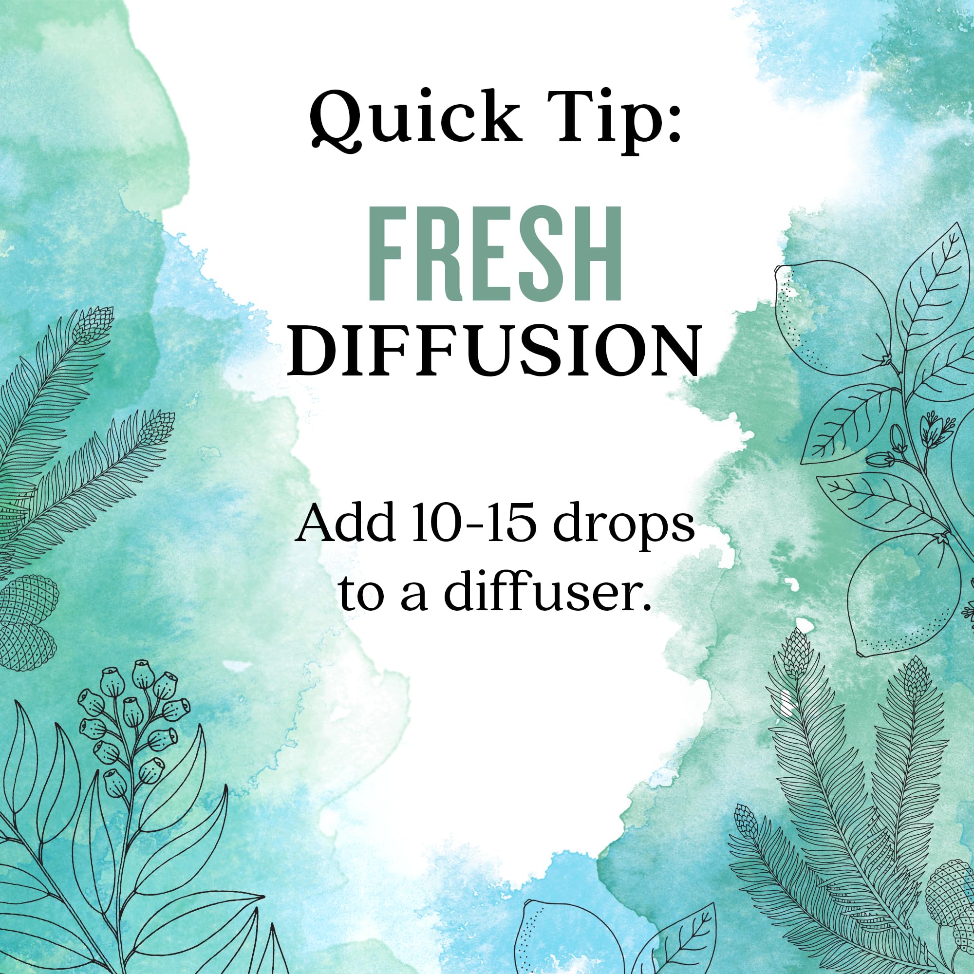 Aura Cacia Fresh Essential Oil Blend packaging box