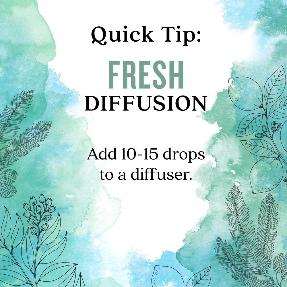Aura Cacia Fresh Essential Oil Blend packaging box
