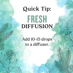 Aura Cacia Fresh Essential Oil Blend packaging box