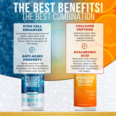 Morning and evening formulas concept image
