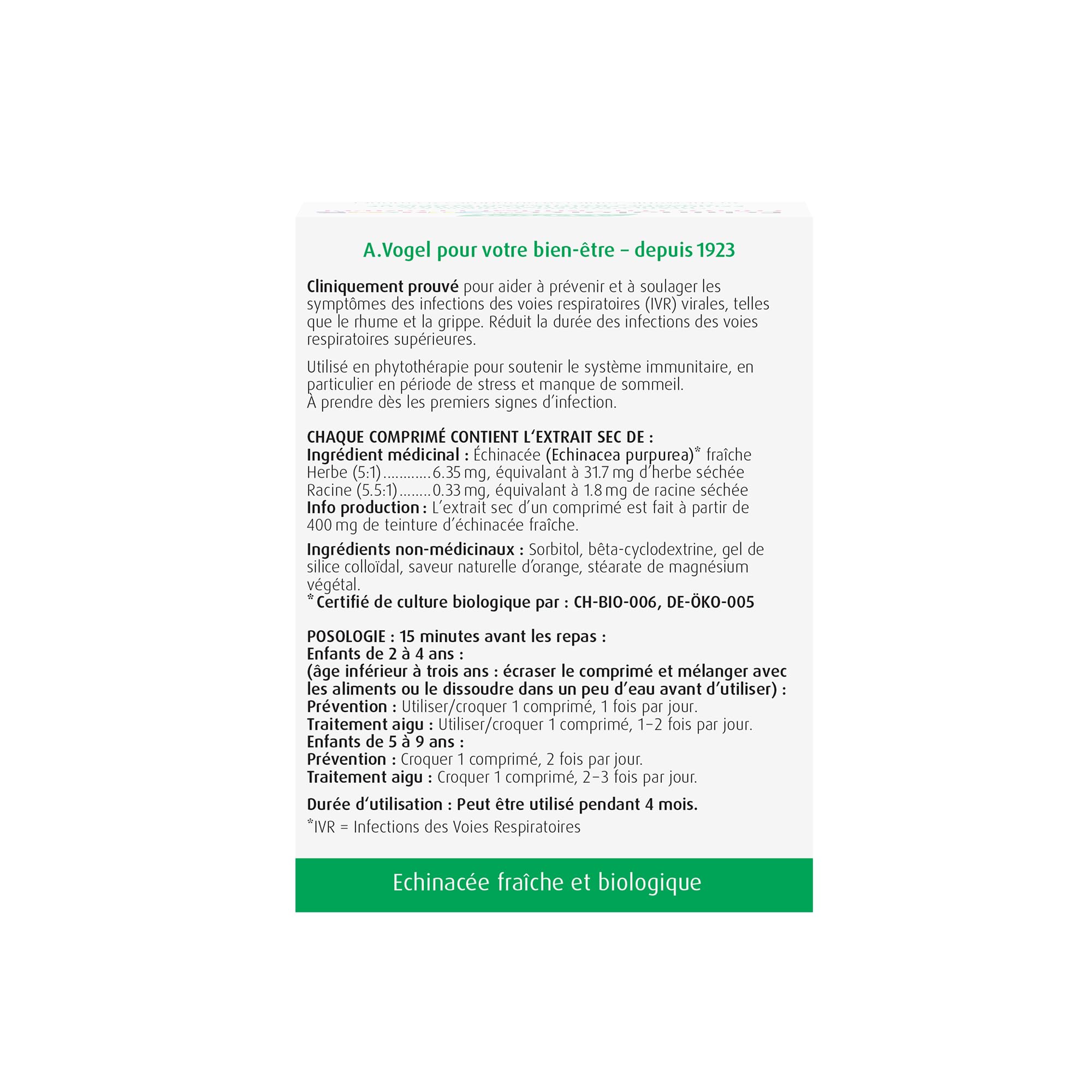 Fresh organic Echinacea purpurea plant used in Echinaforce Junior