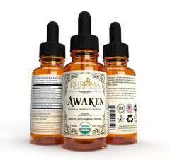 Ingredients include Yerba Mate, Eleuthero Root, Red Ginseng, Peppermint, Ginkgo, Ashwagandha, and Guayusa