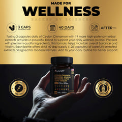 Ginger, Cinnamon, Turmeric blend capsule image.
