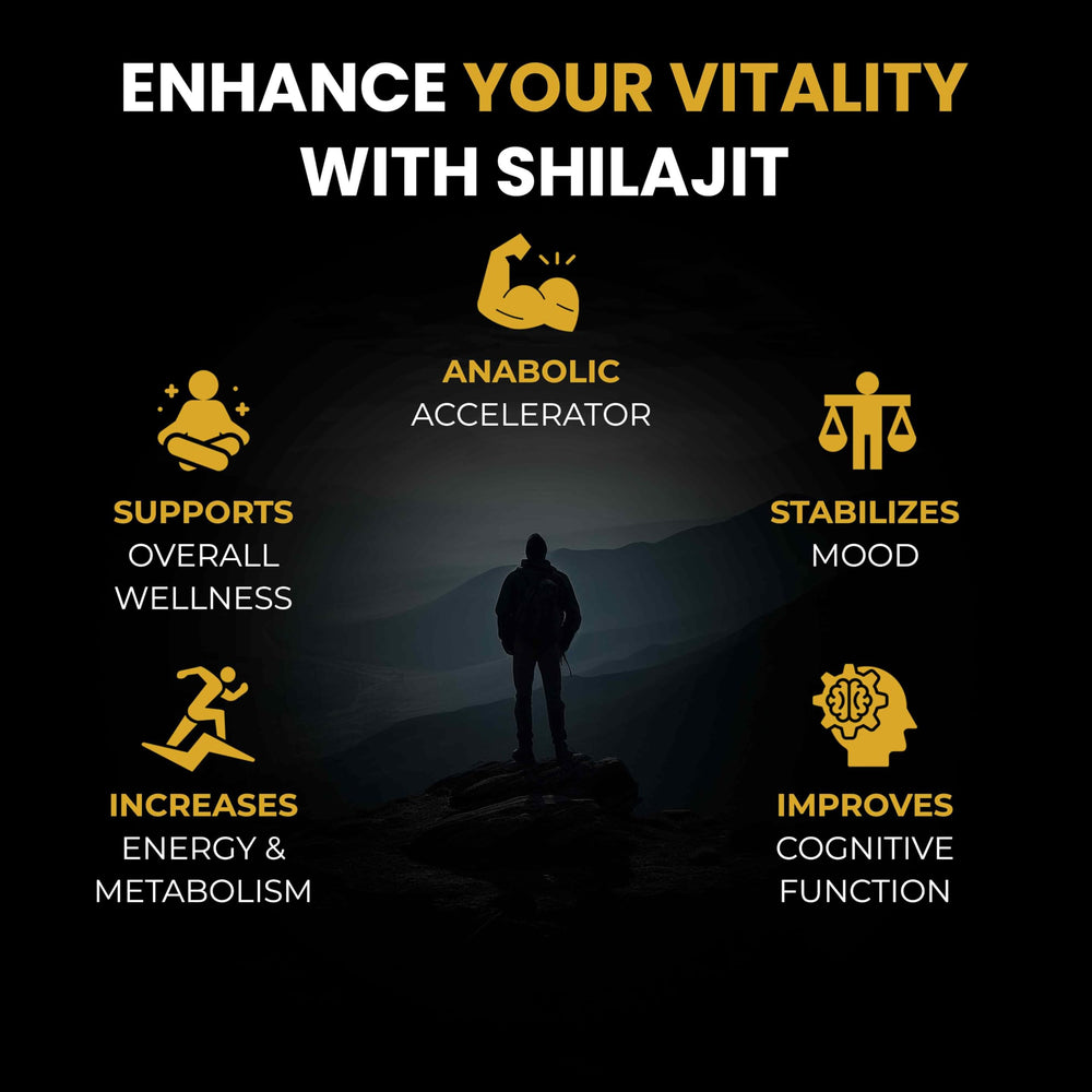 Ayurvedic Shilajit for energy and vitality