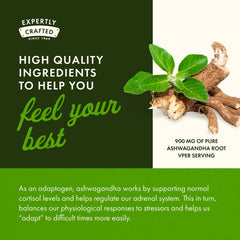 Ayurvedic wellness concept with Ashwagandha