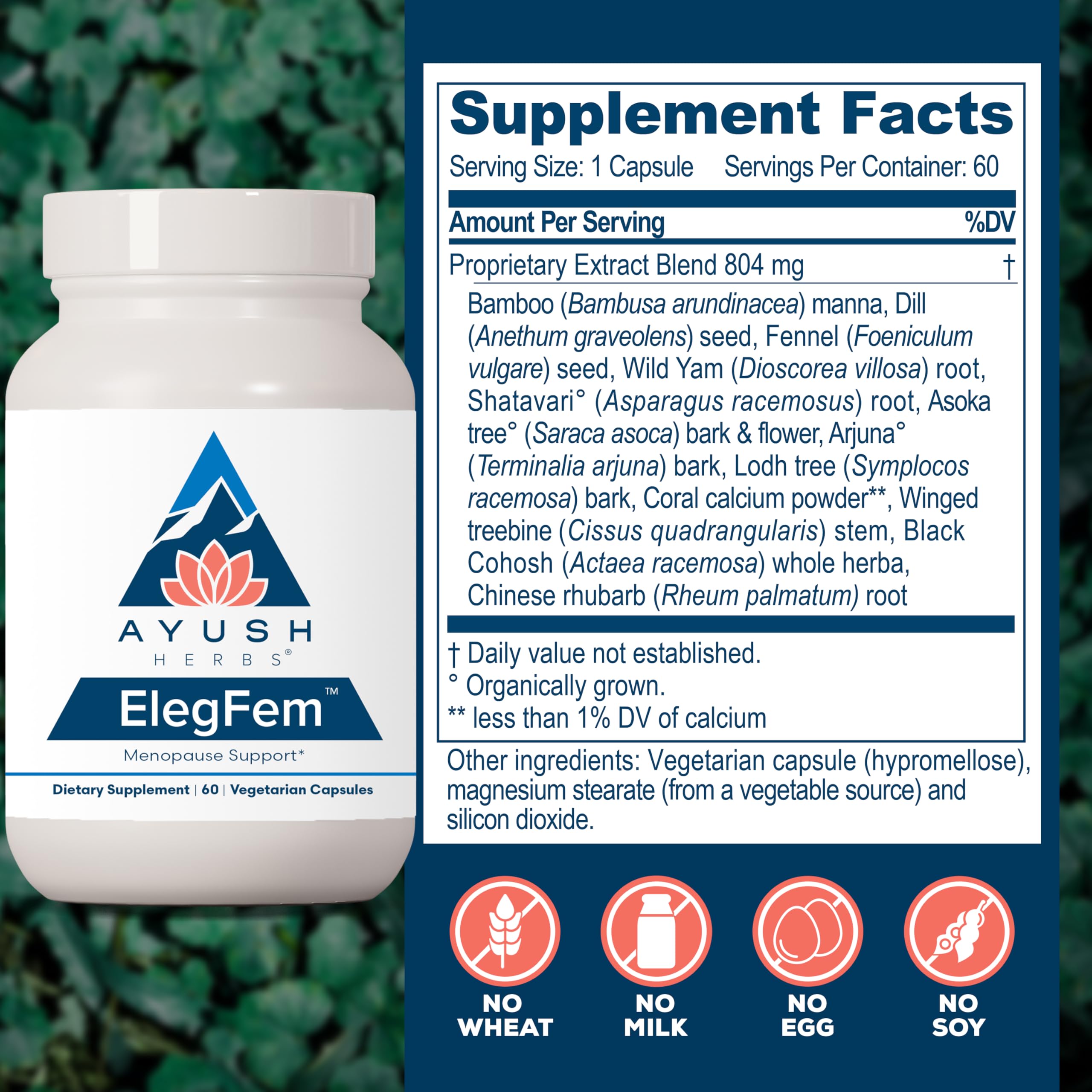 Arjuna herb representing heart health support