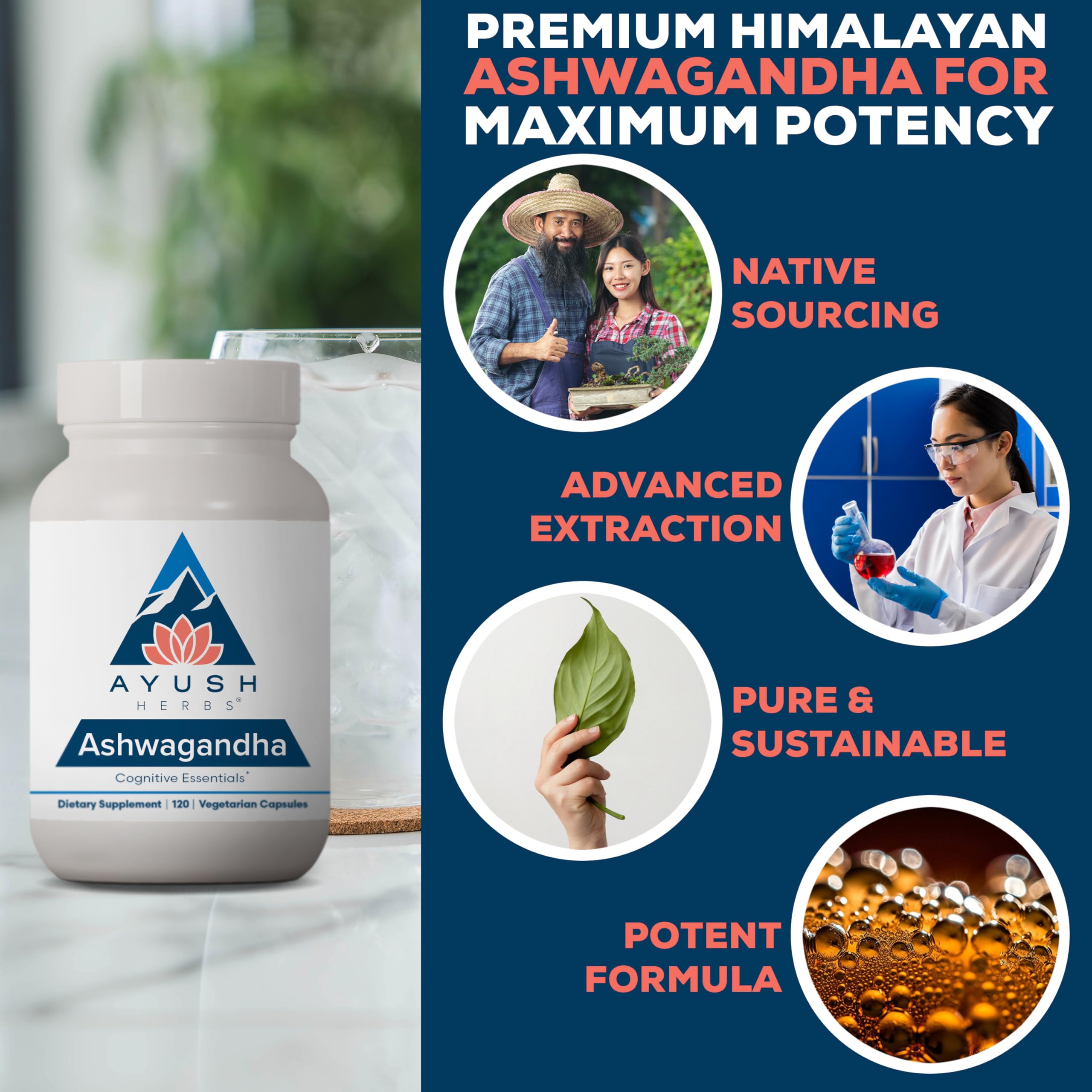 Ayush Herbs Ashwagandha Capsules in hand showing portable daily support