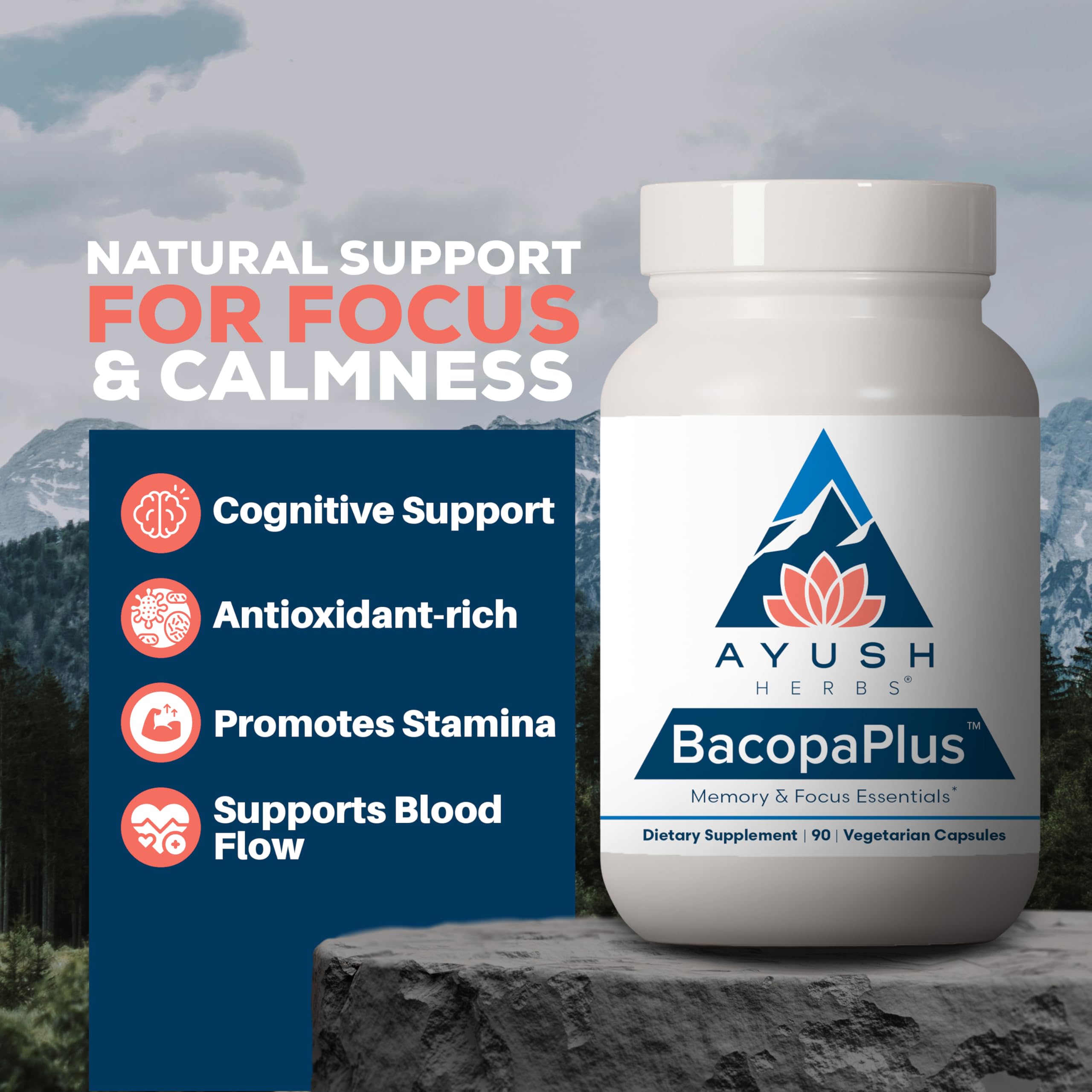 Close-up of BacopaPlus ingredients listing Bacopa monnieri with Gotu Kola, Ginkgo, and Ashwagandha