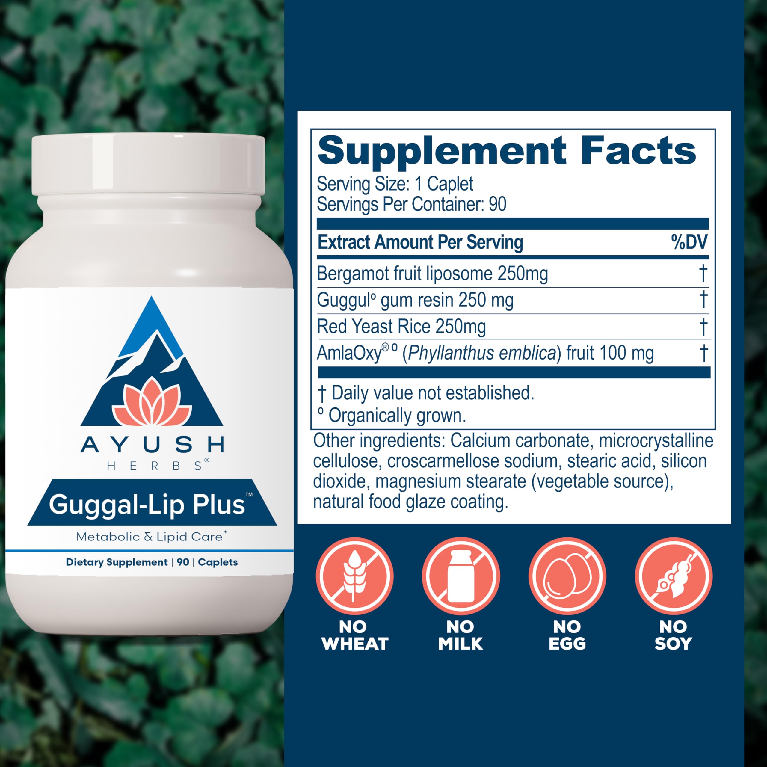 Guggul gum resin and AmlaOxy antioxidants illustration