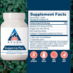 Guggul gum resin and AmlaOxy antioxidants illustration