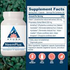 Antioxidant-rich herbs supporting immune health and resilience