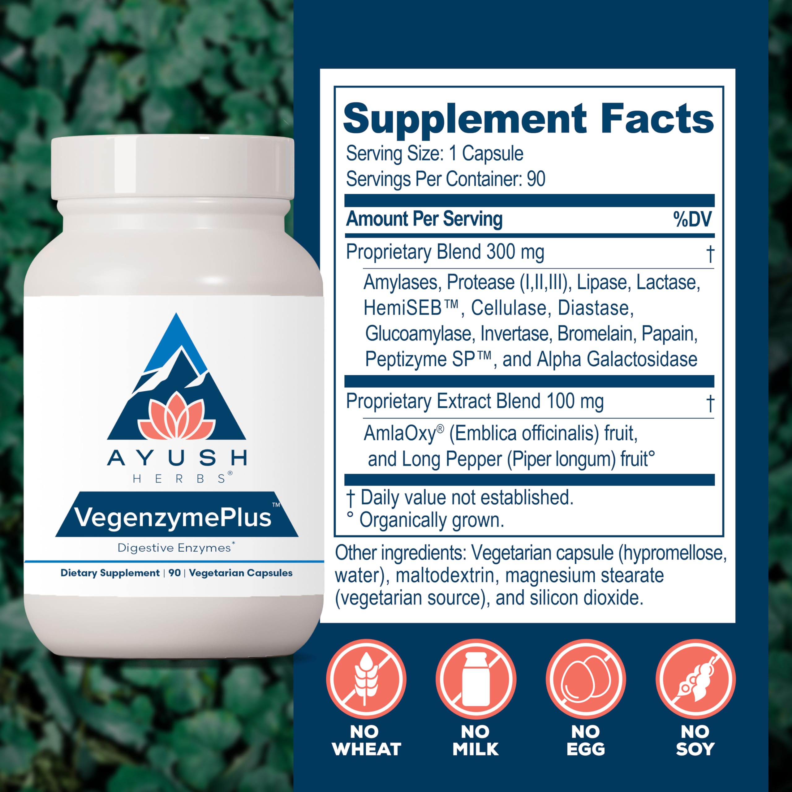 AmlaOxy antioxidant support graphic for VegenzymePlus