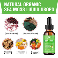 Ingredients including Irish sea moss, burdock root, and spirulina powder
