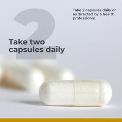 B vitamins support energy metabolism and nerve function
