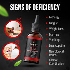 B12 drops boosting energy for dogs and cats