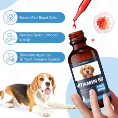 Liquid B12 dog supplement supporting nervous system and brain health