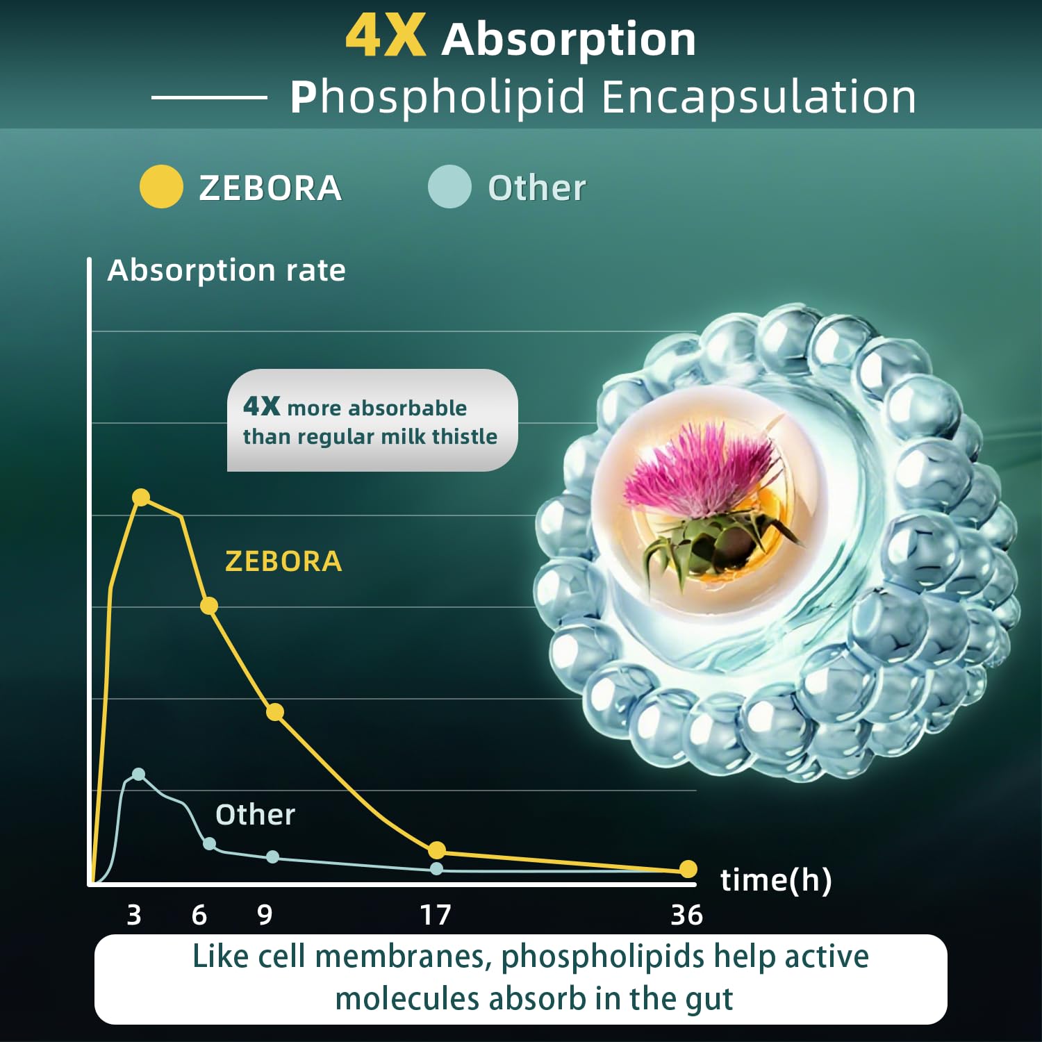 Choline and vitamin B3 aiding fat metabolism in the liver