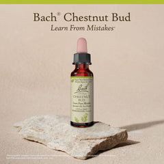 10ml dropper bottle of Chestnut Bud Bach remedy