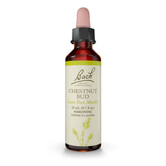 Bach Chestnut Bud flower remedy bottle label
