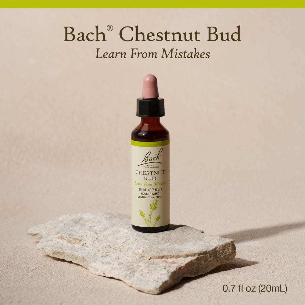 Chestnut Bud Bach original flower remedy bottle