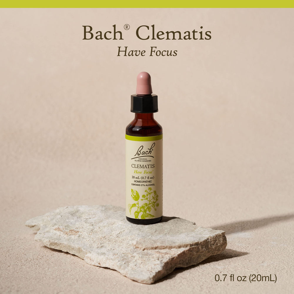 Clematis flower remedy for emotional balance concept