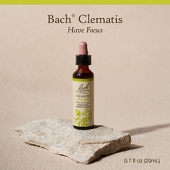 Clematis flower remedy for emotional balance concept