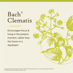 Illustration of Bach Flower Remedies concept and emotional balance