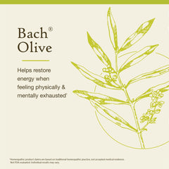 Illustration of Bach Flower Remedies focusing on Olive for emotional balance