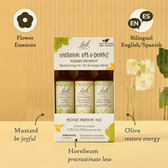 Procrastinate Less remedy (Hornbeam) from the Bach Trio Kit illustration