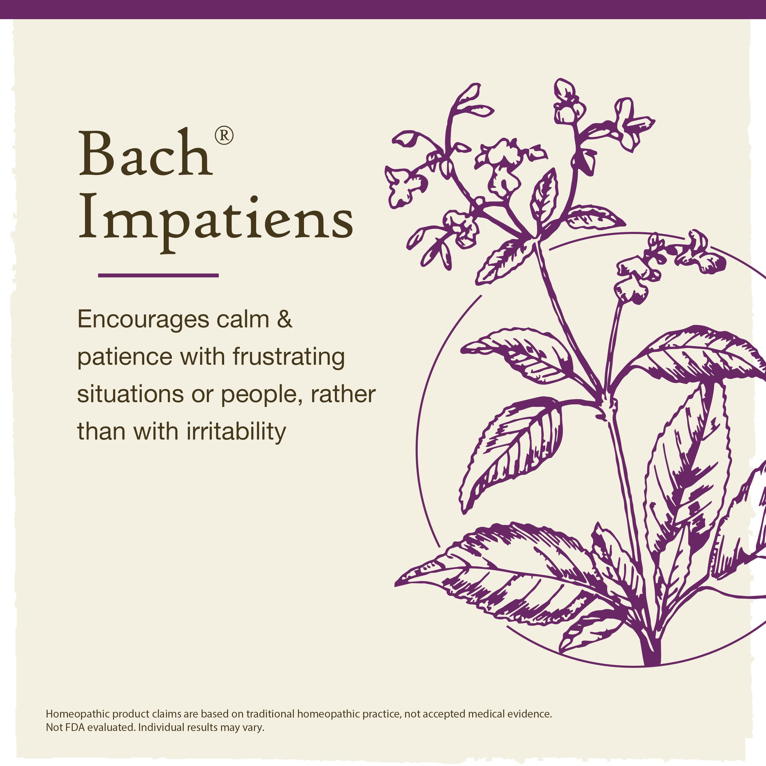 Impatiens flower illustration representing Have Patience remedy