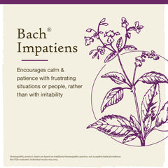 Impatiens flower illustration representing Have Patience remedy
