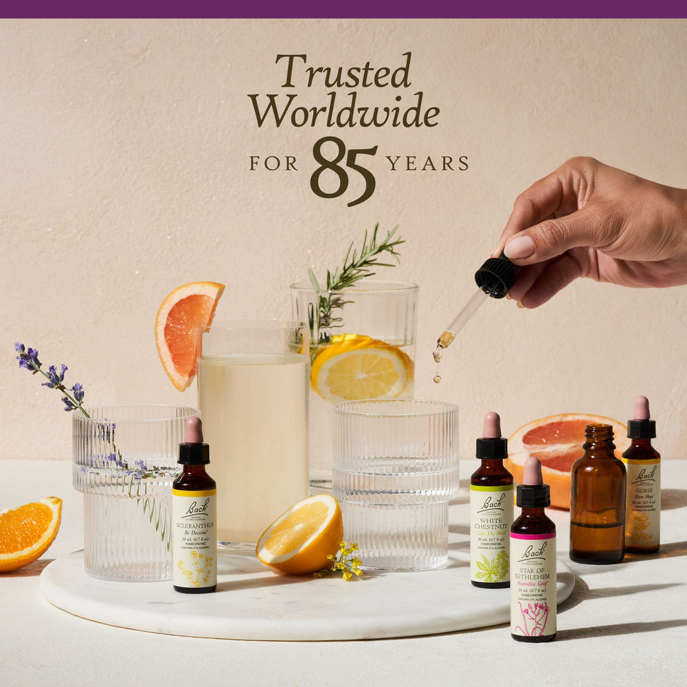 Dropper dispensing two drops for Have Patience remedy