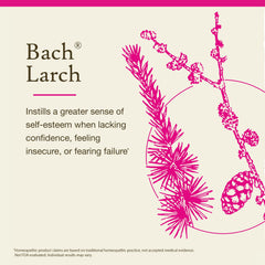 Bach Flower Remedies Larch product and packaging