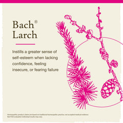 Bach Larch remedy label close-up