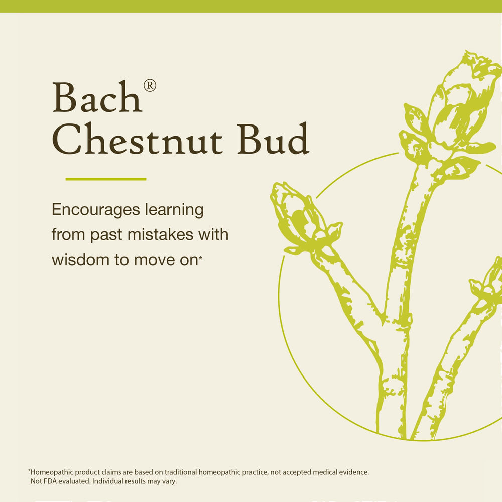 Close-up of Chestnut Bud 20mL dropper bottle on white background