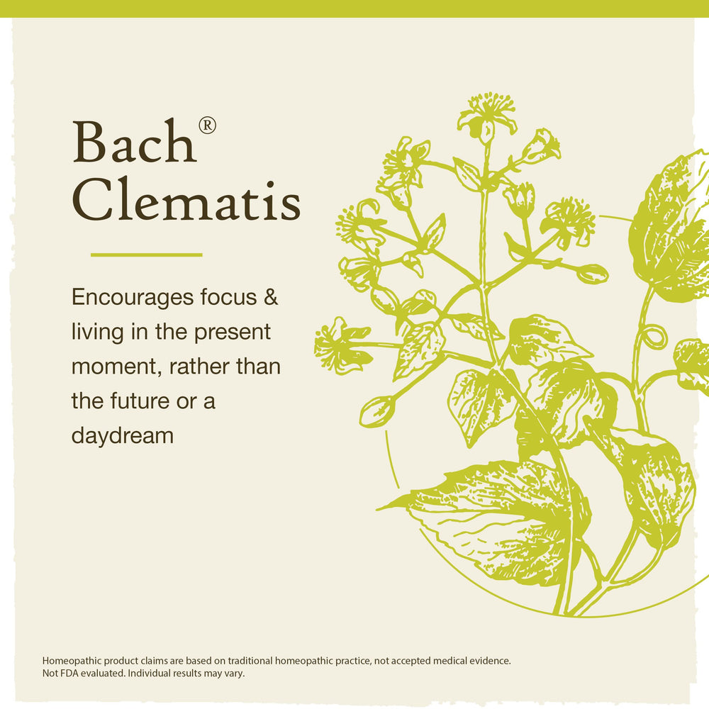 Original Bach Flower Remedies collection artwork
